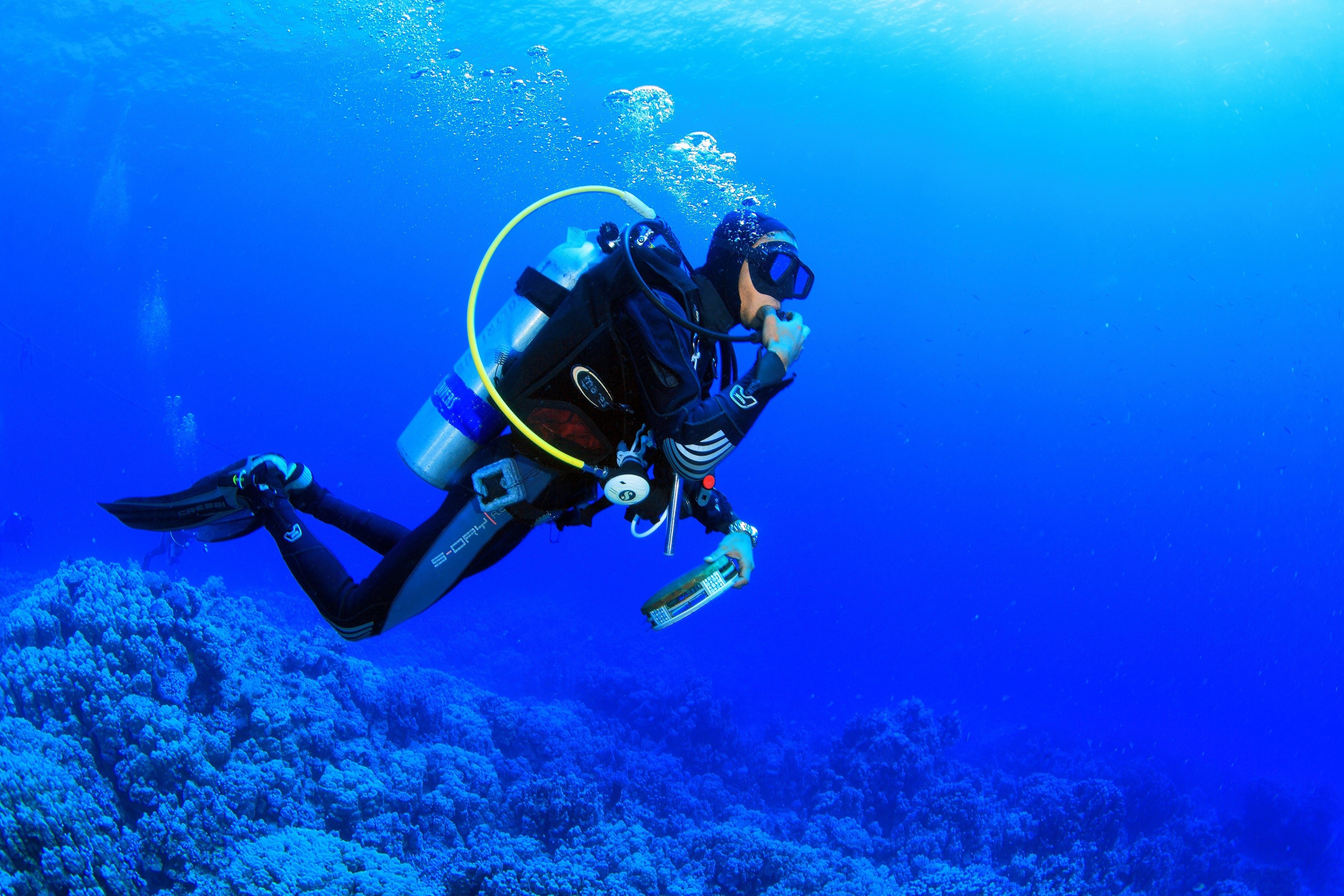 Scuba Diving and Snorkeling in Anilao